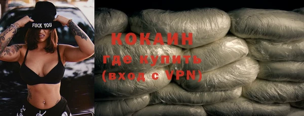 дживик Краснослободск