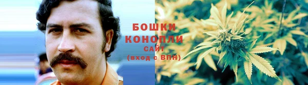 дживик Краснослободск
