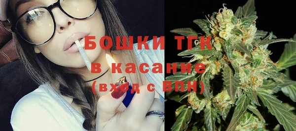 дживик Краснослободск