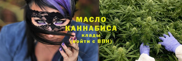 дживик Краснослободск