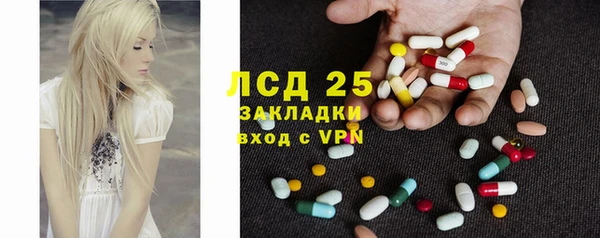 дживик Краснослободск