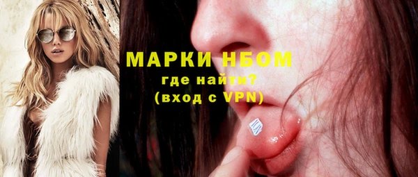 дживик Краснослободск